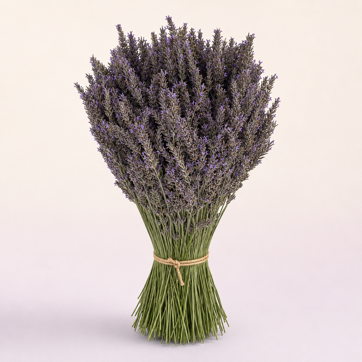 Buchet Mare de Lavandă Naturală – 1000 de fire